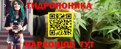 стаф Шебекино
