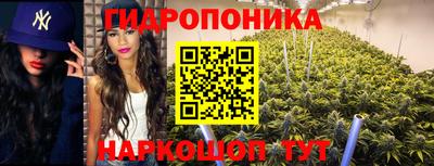 стаф Шебекино