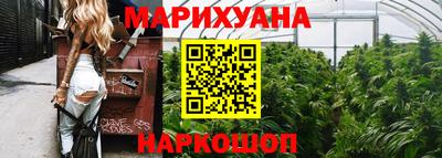 стаф Шебекино