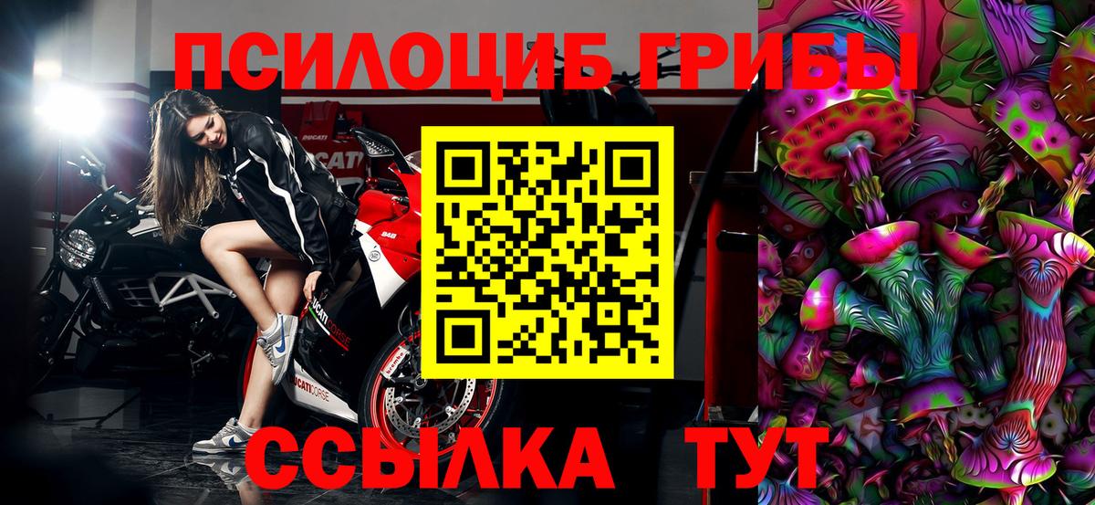 Галлюциногенные грибы Cubensis  магазин  наркотиков  Вход с VPN  Брянск  Галлюциногенные грибы прущие грибы 