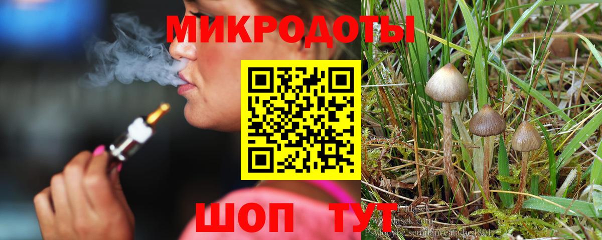 Псилоцибиновые грибы мухоморы Брянск