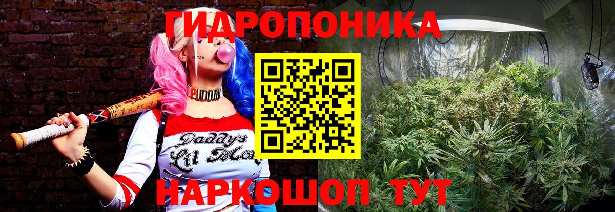 Марихуана THC 21%  Вход с VPN  Каннабис Ganja  Бошки марихуана Bruce Banner  Брянск  Канабис конопля 